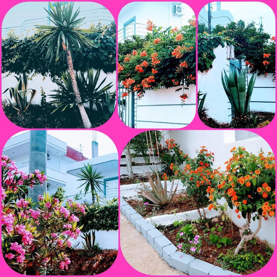 Gb Rooms คซามิล ภายนอก รูปภาพ