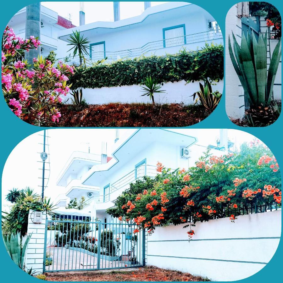 Gb Rooms คซามิล ภายนอก รูปภาพ